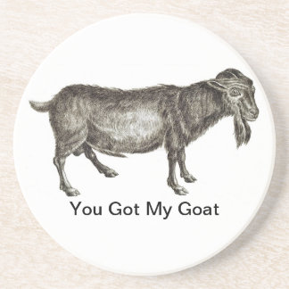 You Got My Goat - COASTERS