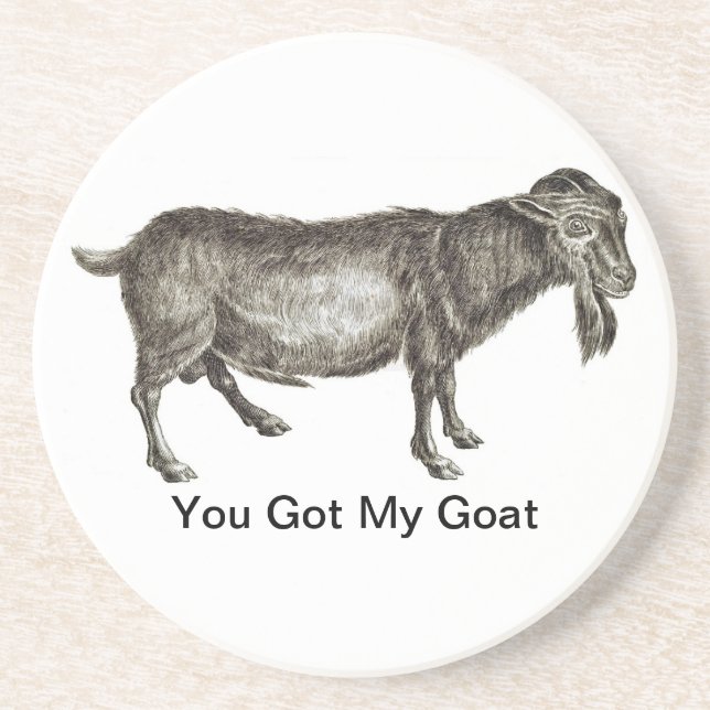 You Got My Goat - COASTERS (Front)