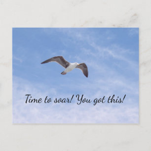 You got this Beautiful Bird Flying Motivational Postcard