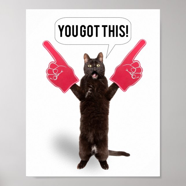 You Got This Encouragement Cat Cheering  Poster (Front)