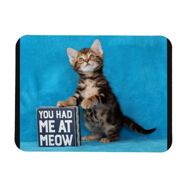 You Had Me at Meow Bengal Kitten Magnet (Horizontal)