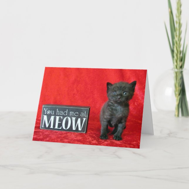 You Had Me At Meow - Pepper (aka Jelly Bean) Card (Front)