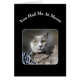You Had Me At Meow Russian Blue Cat