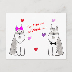 You Had Me At Woof Schnauzer Postcard