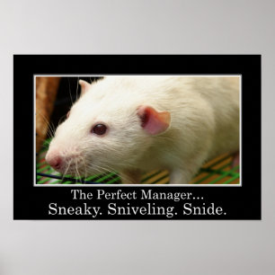 You have all the qualities of a great manager (L) Poster