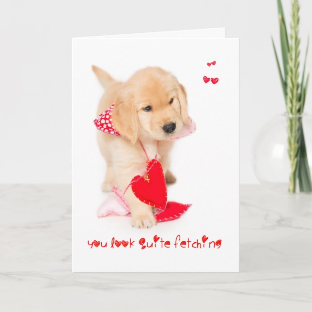 You look Fetching Puppy Valentine Holiday Card (Front)