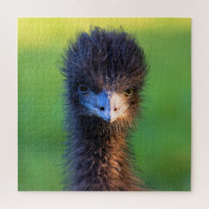 You Lookin' at Me? - Emu Jigsaw Puzzle - 20x20