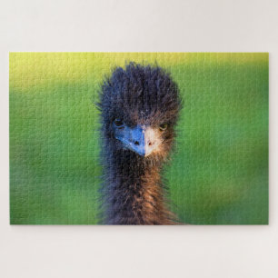 You Lookin' at Me? - Emu Jigsaw Puzzle - 20x30