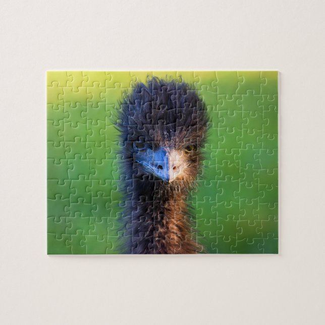 You Lookin' at Me?  -  Emu  Jigsaw Puzzle - 8x10 (Horizontal)
