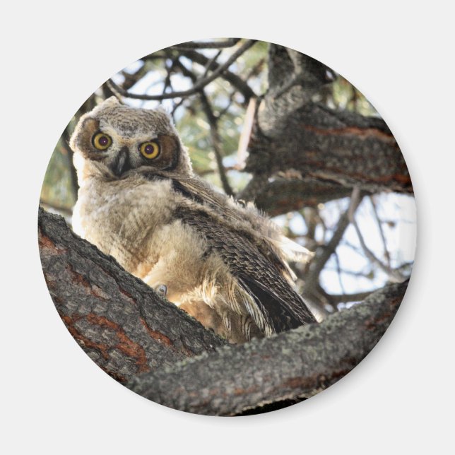 You Love My Eyes? - Magnet (Front)