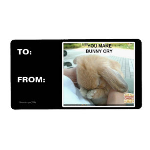 You make bunny cry
