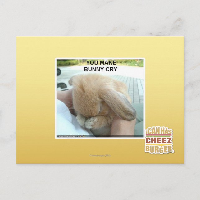You make bunny cry postcard (Front)
