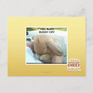 You make bunny cry postcard