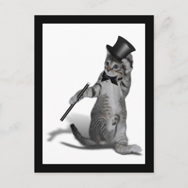 You make me feel like Dancing! Tap Dancing Cat Postcard (Front)