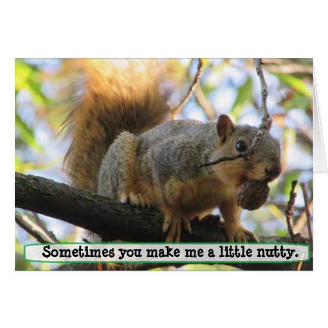 You make me Nutty, Squirrel Humour Card (Front Horizontal)
