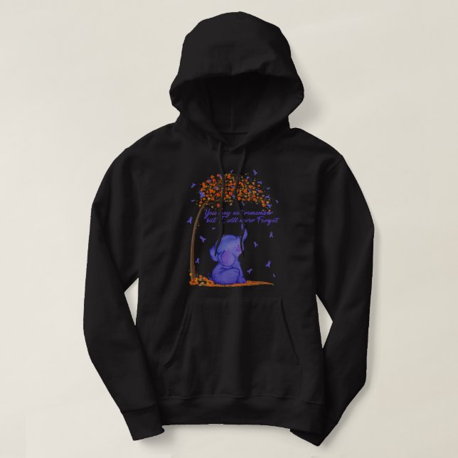 You May Not Remember But I Will Never Forget Alzhe Hoodie (Design Front)