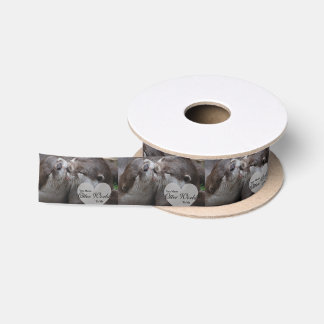 You Mean Otter World To Me Otters Love Kissing Satin Ribbon
