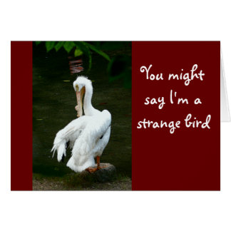 "YOU MIGHT SAY I'M A STRANGE BIRD..." /UNUSUAL LOO