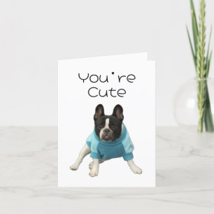 You’re Cute Wanna Go Out? Dog Dating Folded Card