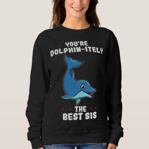 You re Dolphin itely The Best Sis Siblings Day Dol Sweatshirt