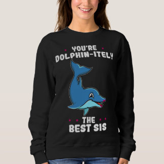 You re Dolphin itely The Best Sis Siblings Day Dol Sweatshirt