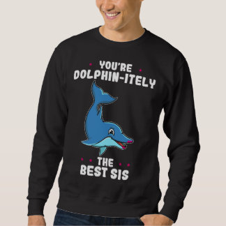 You re Dolphin itely The Best Sis Siblings Day Dol Sweatshirt