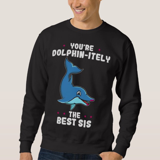 You re Dolphin itely The Best Sis Siblings Day Dol Sweatshirt (Front)