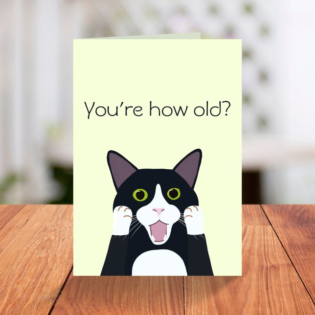 You’re how old funny cat over the hill birthday card (Creator Uploaded)