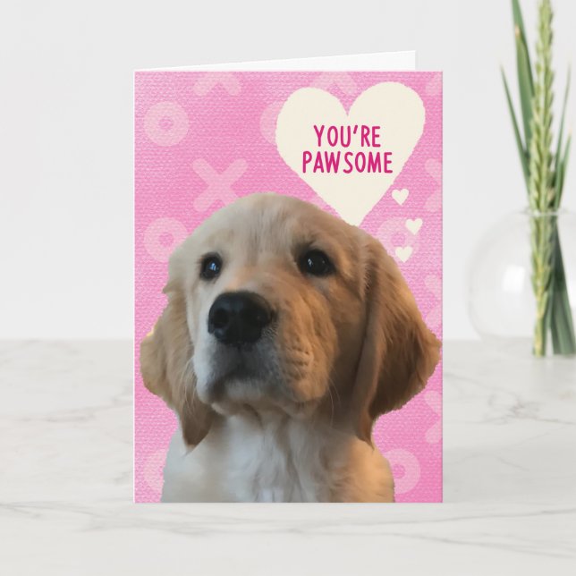 You’re PAWSOME Golden Love Valentine’s Day Card (Front)