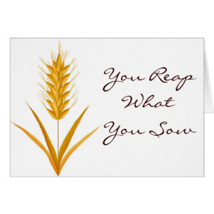 You Reap What You Sow Wheat Card