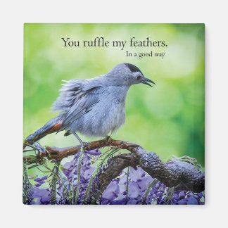 You Ruffle My Feathers In a good way Magnet