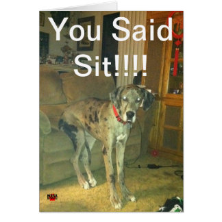 You Said Sit!!!!!