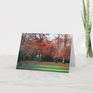 You Say It Best Greetings Card