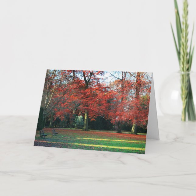 You Say It Best Greetings Card (Front)