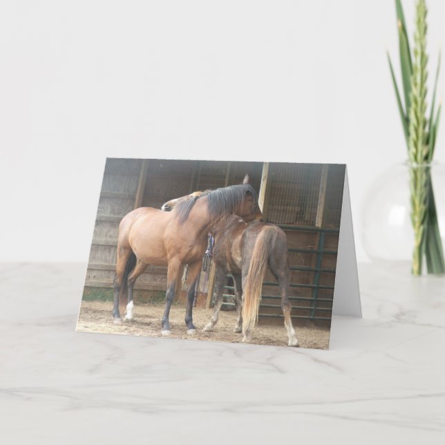 You Scratch My Back......... Thank You Card (Front)