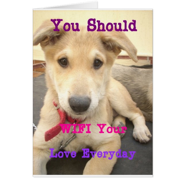 You Should WIFI Your Love Everyday (Front)