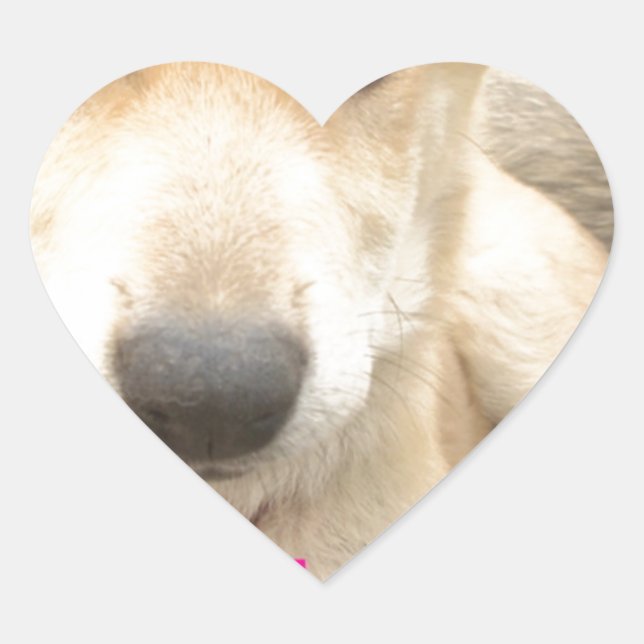 You Should WIFI Your Love Everyday Heart Sticker (Front)