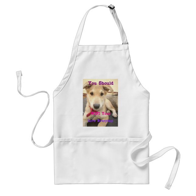 You Should WIFI Your Love Everyday Standard Apron (Front)