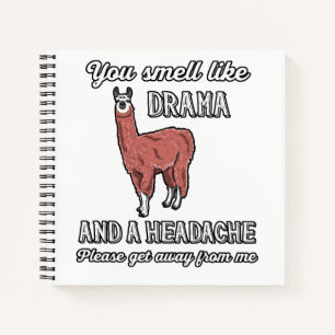 You Smell Like Drama And A Headache Funny Gift Notebook