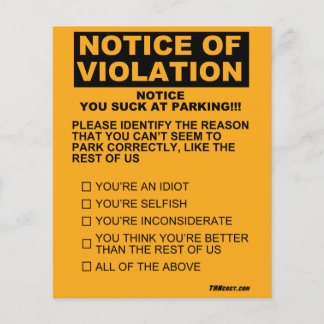 You Suck At Parking Ticket Flyer