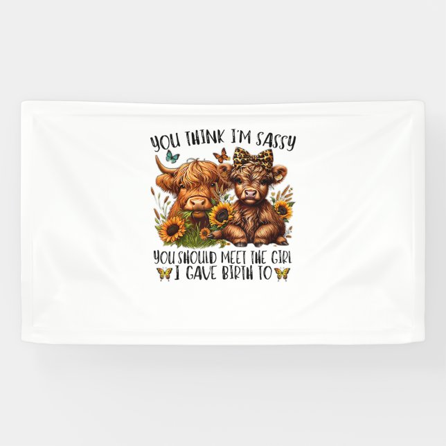 You Think I'm Sassy You Should Meet The Girl I Gav Banner (Horizontal)