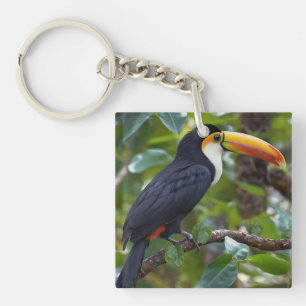 You Toucan Sit In The Treetops, Key Ring