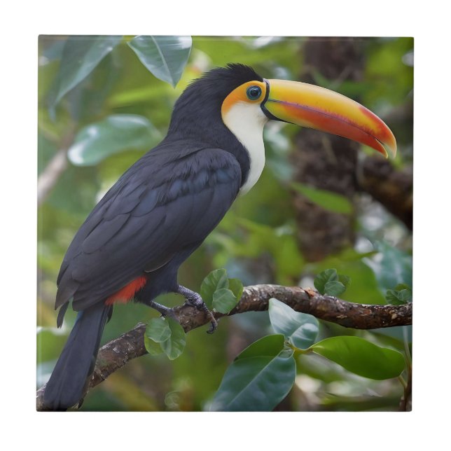 You Toucan Sit In The Treetops, Tile (Front)