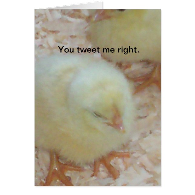 You tweet me right. (Front)