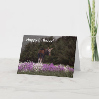 You’ve Been Mooned by a Moose! Birthday Card