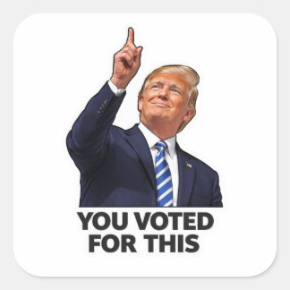 You voted for this political humor meme gas prices square sticker