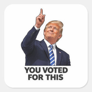 You voted for this political humour meme gas price square sticker