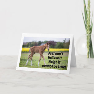 YOU WERE JUST 12 YESTERDAY SAYS HORSE CARD