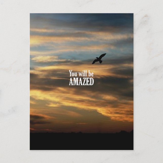 You Will Be Amazed Postcard (Front)