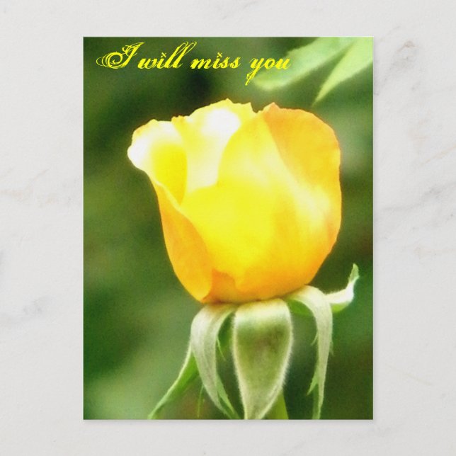 You will be missed/Any Occasions_Postcard Postcard (Front)